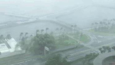 2017年台风最新动态与预测