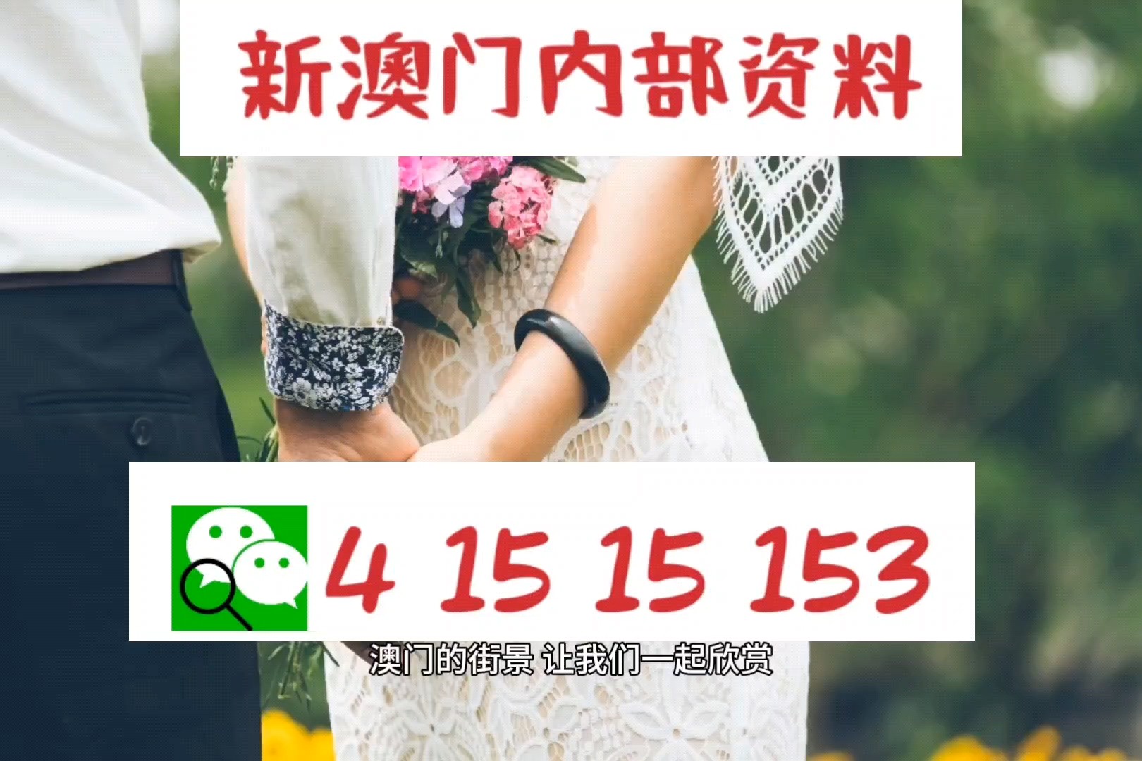 2024澳门精准正版图库,目前现象解析描述_亲和版20.674