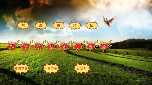 4949澳门今晚开奖,释意性描述解_颠覆版95.644