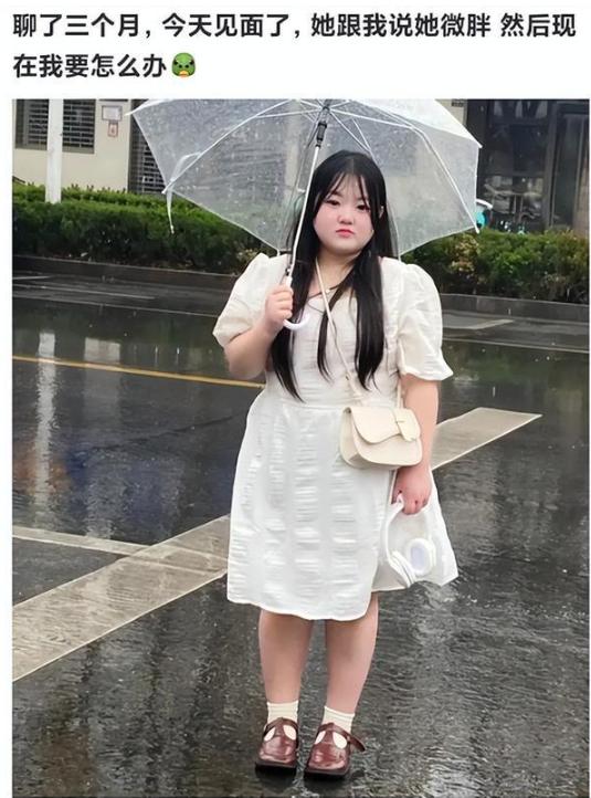 最新窗子，家居生活的温馨伴侣