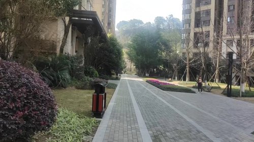 北渝星城最新动态，多维探讨城市发展新篇章
