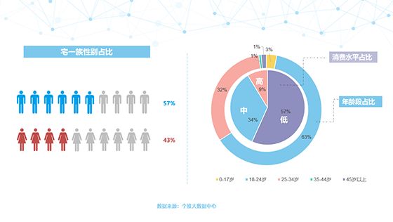 新澳2025今晚开奖结果,新式数据解释设想_美学版62.410