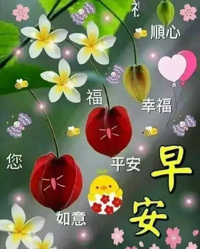 最新早安问候图片带字,最新早安问候图片带字制作指南