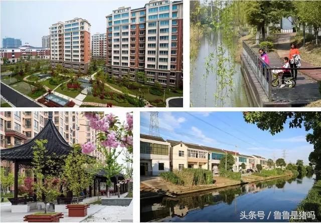 张家港农联村规划揭秘，温馨家园的未来蓝图