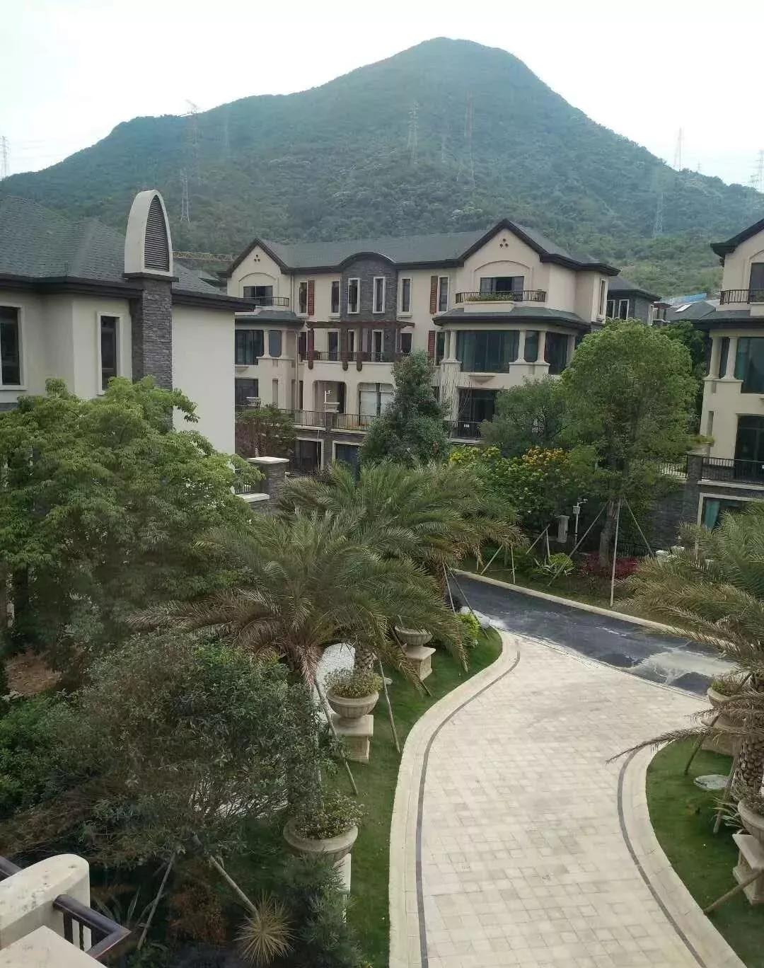 江阴美丽角落探寻，自然之旅与神秘站街女之地