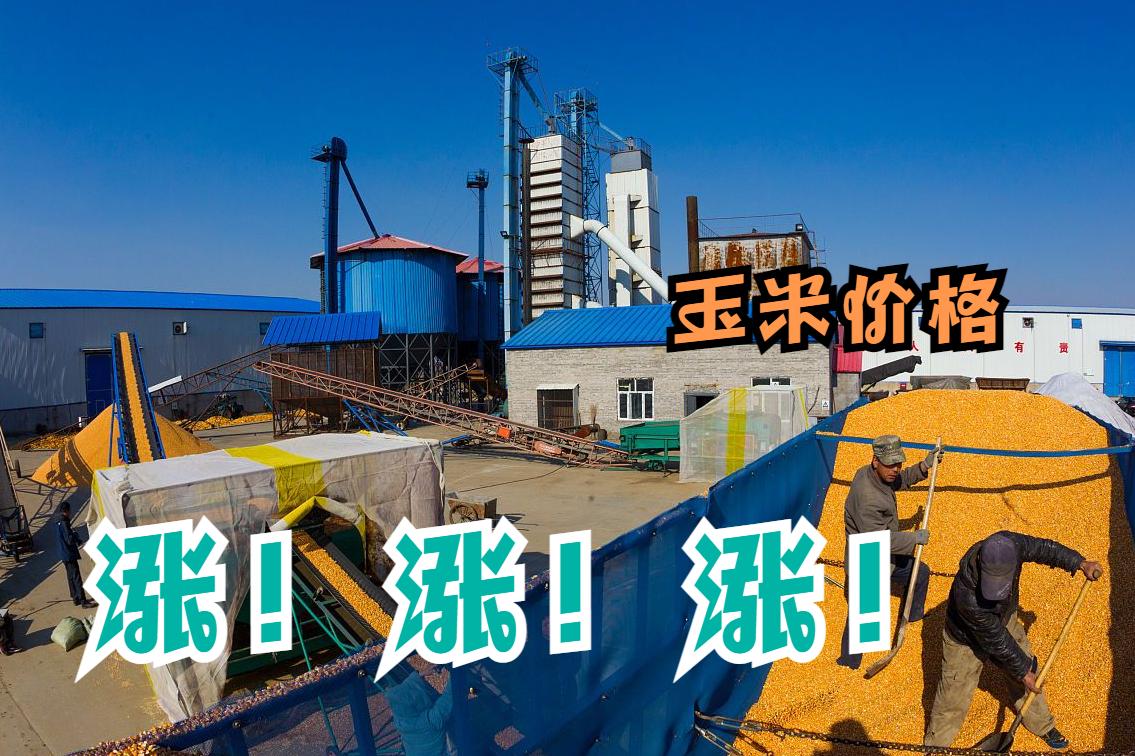 产品与服务 第20页