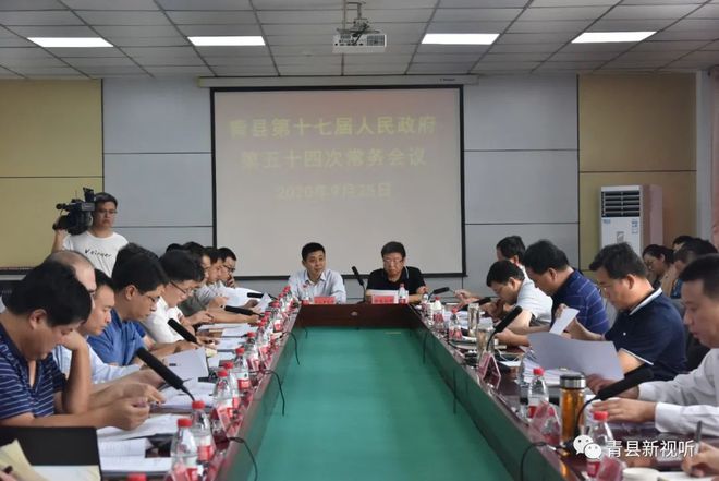 青县政府班子最新分工揭秘，趣事与情感纽带背后的故事