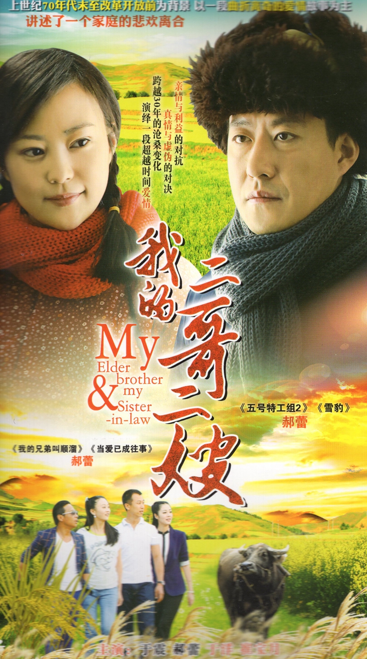 我与二嫂，最新章节回顾及其影响