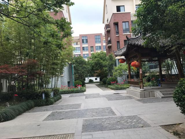 东南坊扦迁最新动态，邻里温情与笑语中的搬迁之旅