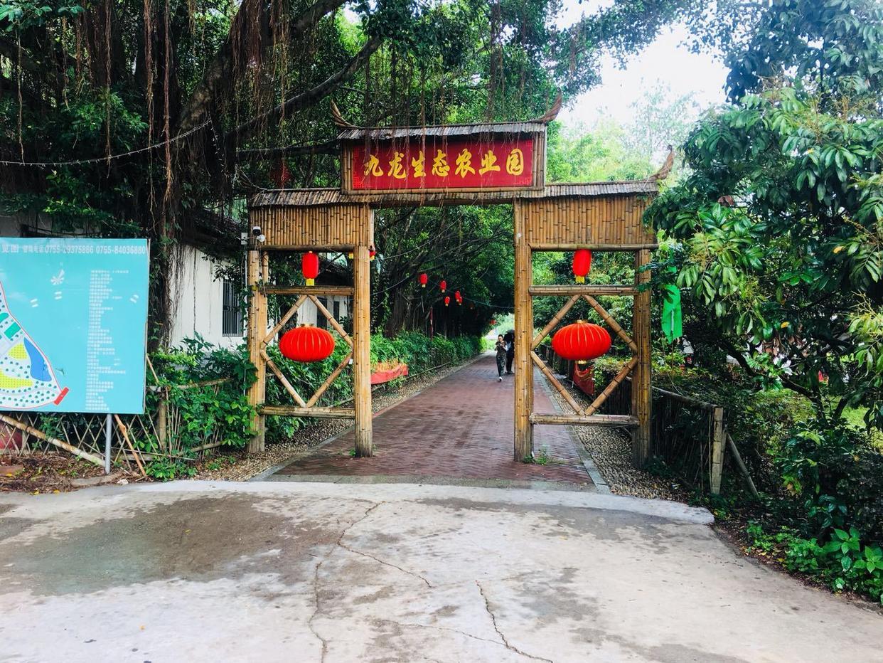 农家乐小老板最新章节，乡村生活的美好续写之旅