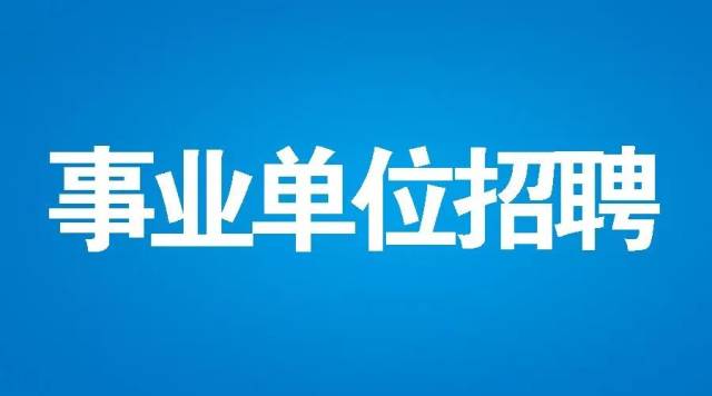 晋中招聘网最新招聘，爱与陪伴的求职奇遇之旅